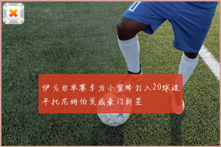 伊戈尔单赛季为小蜜蜂打入20球追平托尼姆伯莫成豪门新星