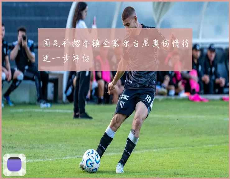 国足补招李镇全塞尔吉尼奥伤情待进一步评估